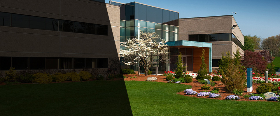 Runnemede Landscapers