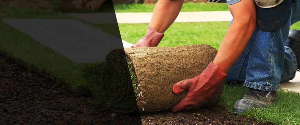 Runnemede Landscapers